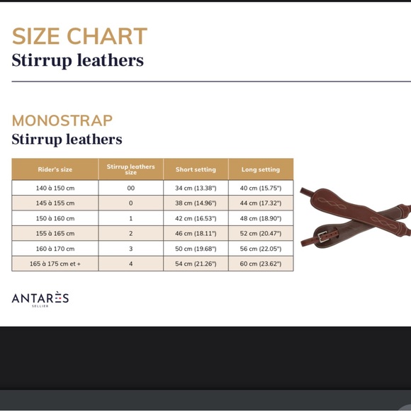 Antares Monostrap Stirrup Leathers Free Shipping! - Picture 5 of 7